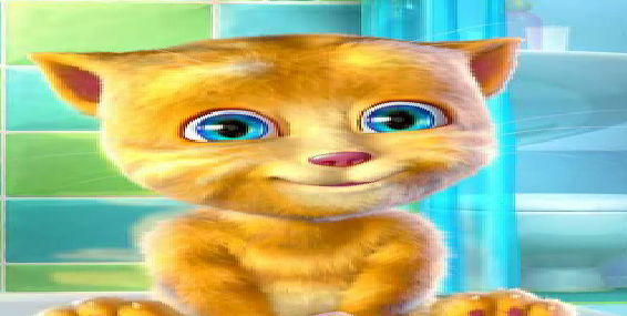 kedi