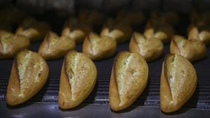 Ankara Büyükşehir Belediyesi Halk Ekmek Fabrikası, ekmek isr