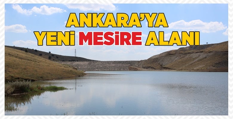 akyurt mesire