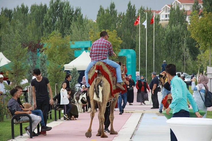 13. Uluslararası Çubuk Kültür ve Turşu Festivali Başladı 10
