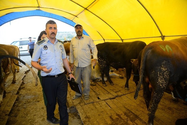 Pursaklar'da Kurban Satış ve Kesim Alanında Denetleme 1