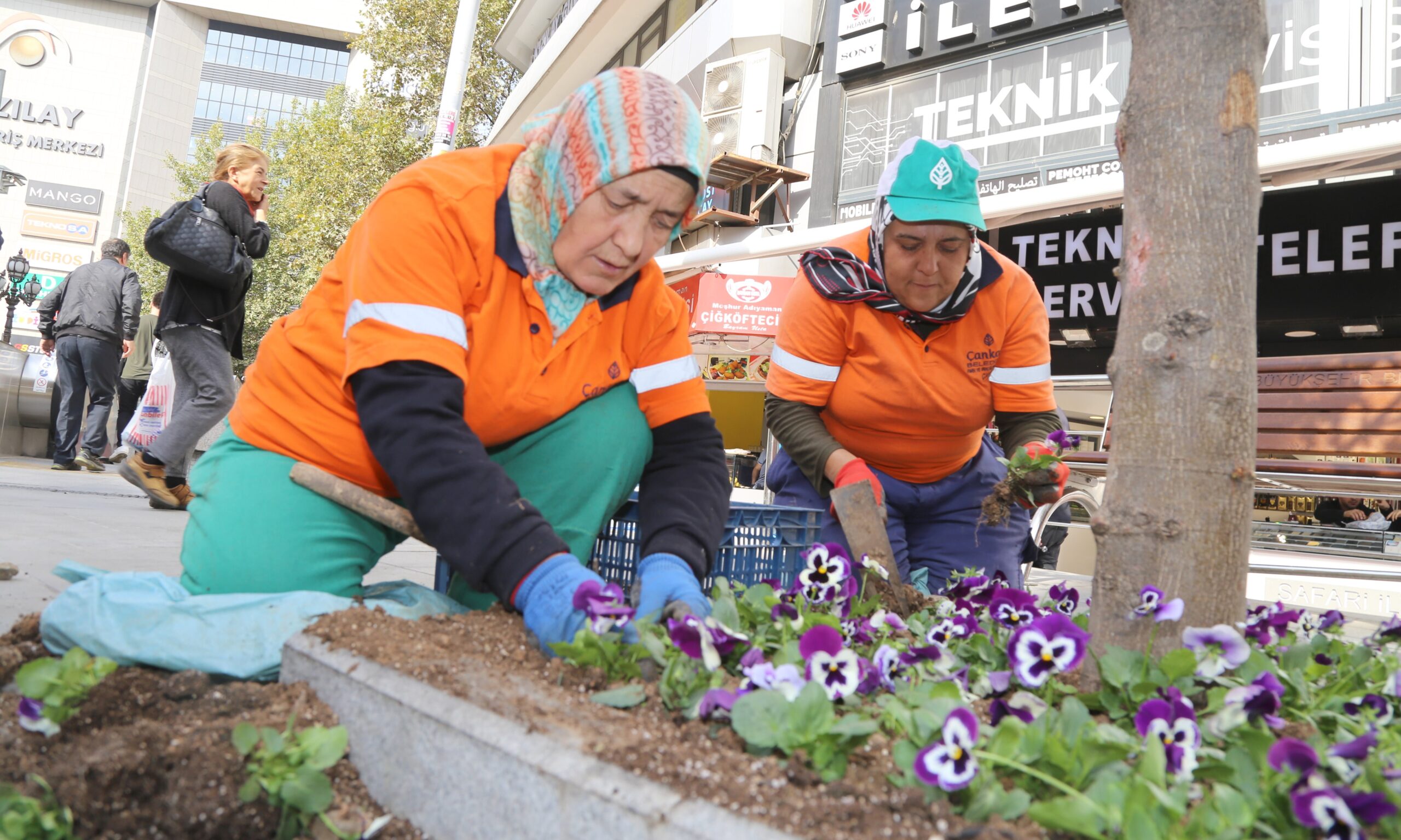 2019_10_16_Park BAhçeler_Çiçek Dikimi_SAkarya Caddesi (4)