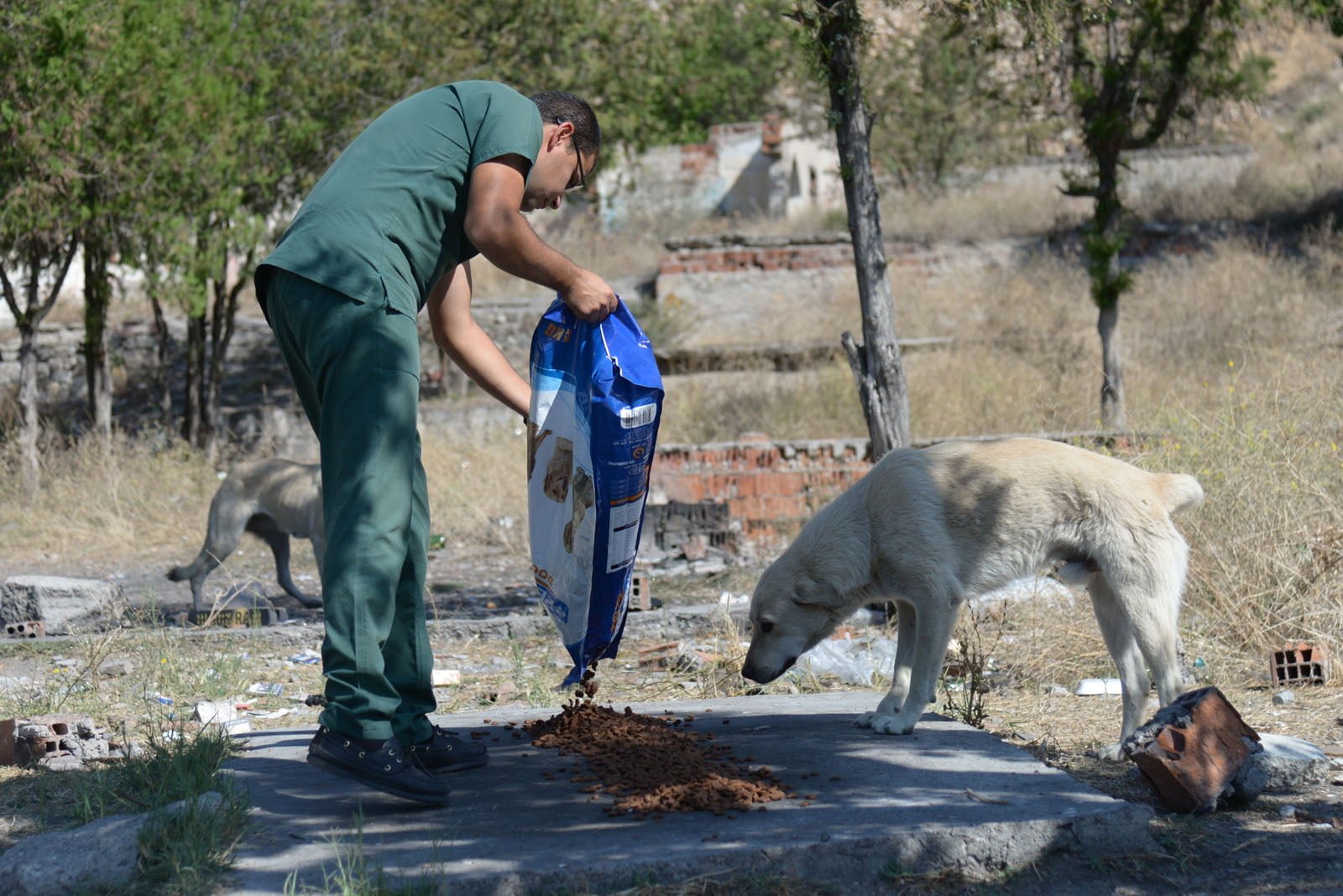 Sokak hayvanları Altındağ Belediyesi’ne emanet