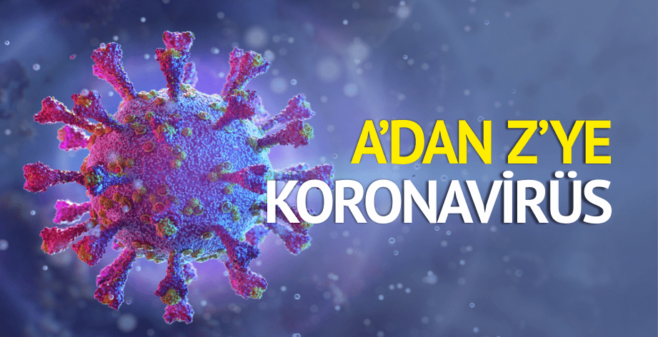 ADANZYEKORONA