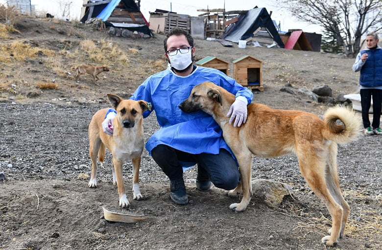 Gönüllü hayvansever barınaklarında kuduz aşısı kampanyası 4