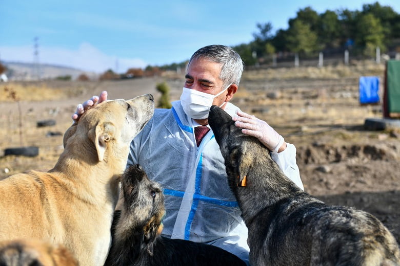 Gönüllü hayvansever barınaklarında kuduz aşısı kampanyası