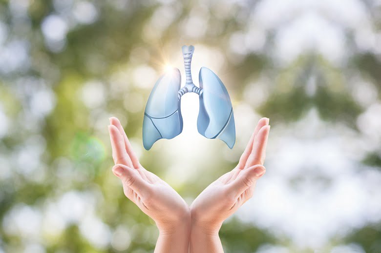 Hands,Holding,Human,Lungs,On,Blurred,Background.