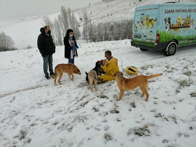 Pursaklar Belediyesi Soğuk Kış Günlerinde Can Dostlarını Yalnız Bırakmıyor