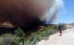 Antalya Manavgat’ta orman yangını yerleşim yerlerine sıçradı