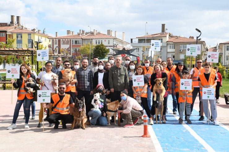 foto-2-3