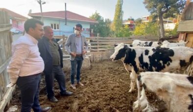 CHP’li Başevirgen “3000 Euro’ya İthal Edilen Hayvanlar Kesime Gidiyor”