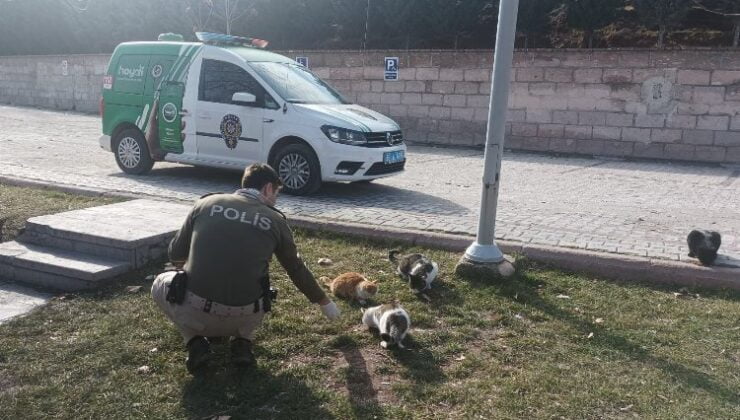 Aksaray’da polis sokak hayvanlarına mama dağıttı