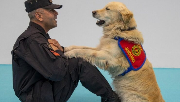 Jandarma’nın kahraman köpeğinden ‘Olgun’ marifetler