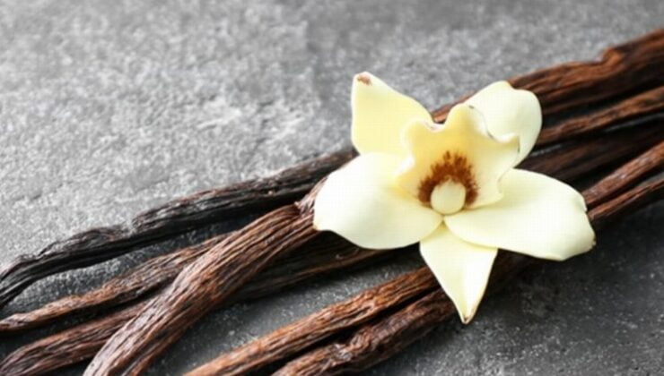Türk markası vanilya  30 ülkeye ihraç ediliyor