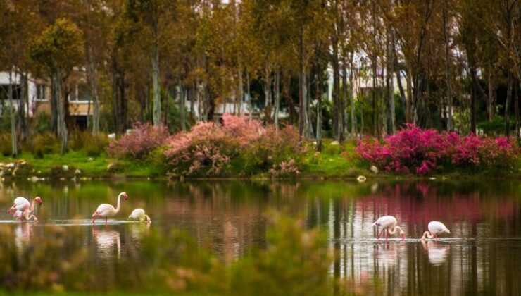 İzmir ‘Aliağa Kuş Cenneti ve Güzelhisar Deltası’ okurla buluşuyor