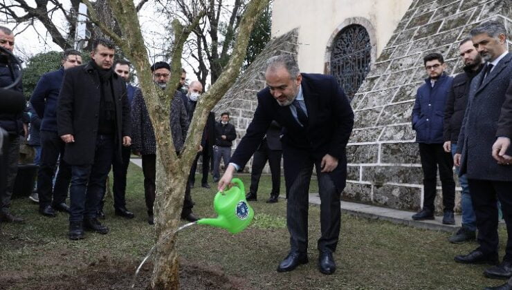 Bursa’da rivayet gerçek oldu… Türbenin önüne nar ağacı dikildi
