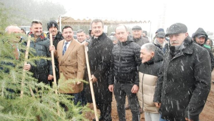 Paris Trabzonlular’dan ‘Eren Bülbül’ anısına Bursa’da hatıra ormanı