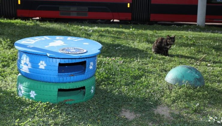 Bursa’da eski lastikler ‘kedi evi’ oldu