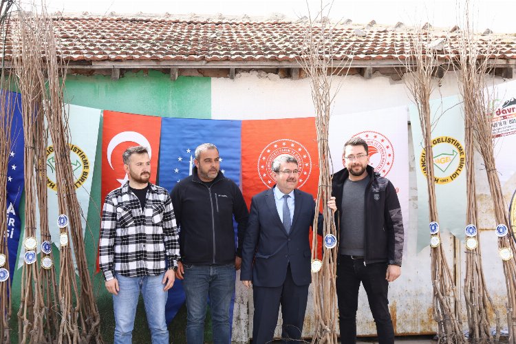 Bursa'da Mudanyalı çiftçilere Trabzon hurması fidanı dağıtıldı 2