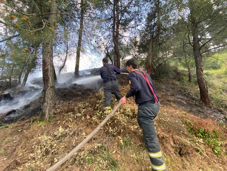 Hatay'daki orman yangını gönüllü itfaiyeciler söndürdü 2