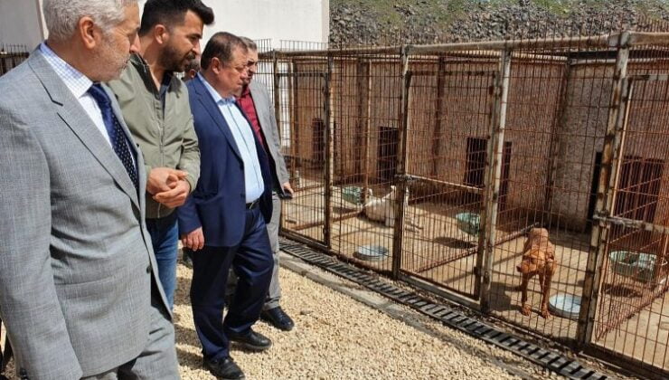 Kilis Belediye Başkanı Ramazan: “Hayvanlar rabbim tarafından bizlere emanet edilmiştir”