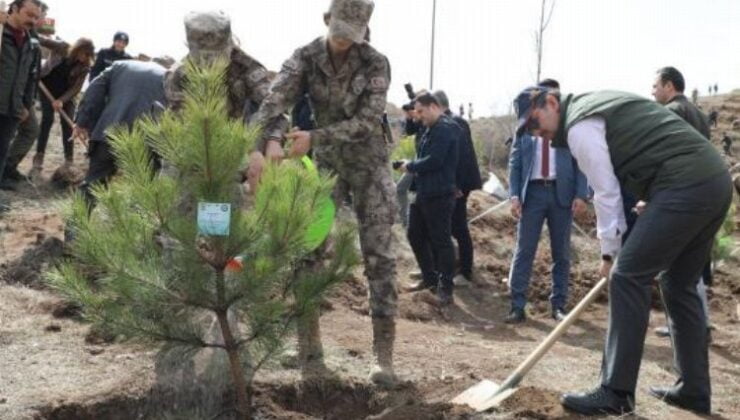 Sivas’ta ‘Polis Hatıra Ormanı’ oluşturuldu