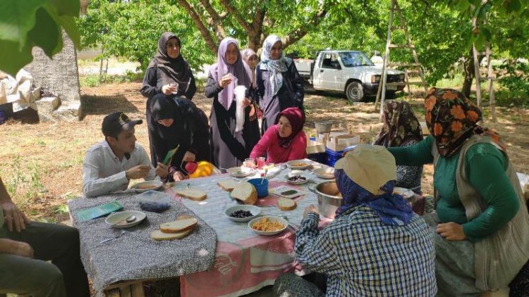Bursa İznik'te Saadetli kadınlar çiftçileri ziyaret etti 4