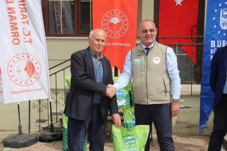 Bursa Mudanya'da silajlık mısır tohumu desteği 1