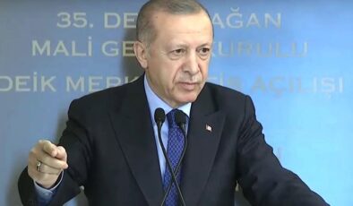 Cumhurbaşkanı Erdoğan: Hiç heveslenmeyin