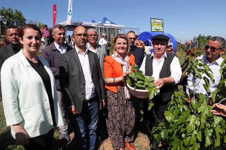 Kocaeli İzmit Belediyesi İpek Böceği Besleme Evi’ni hizmete açtı 4