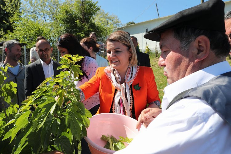 Kocaeli İzmit Belediyesi İpek Böceği Besleme Evi’ni hizmete açtı 5