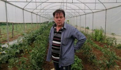 Bilecik Pazaryeri’nde 7 yıldır ürettiği tohumlarla sebze yetiştiriyor