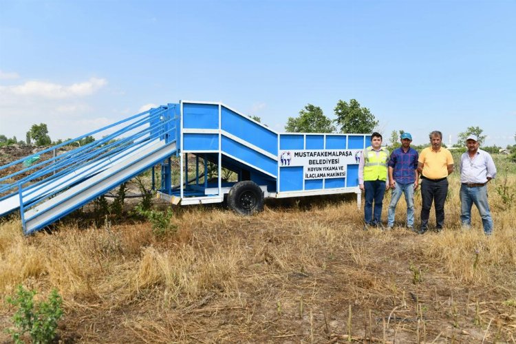 Bursa Mustafakemalpaşa'da koyunlara özel banyo 1