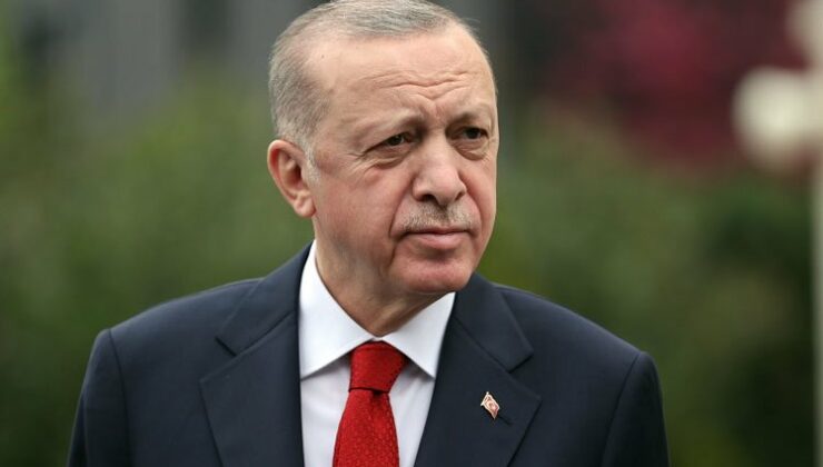 Erdoğan: Son 20 yılda 5,9 milyar fidan dikildi