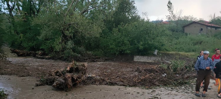 Bilecik Gölpazarı'nı sağanak vurdu: 1 ölü 1 Bilecik Gölpazarı'nı sağanak vurdu: 1 ölü 1