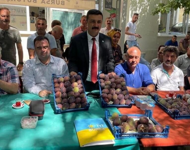 Bursa’da İYİ Partililer, incir üreticisinin mağduriyetini dile getirdi 1