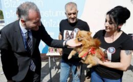 Bursa’da sokak hayvanlarının dostu İnegöl Belediyesi