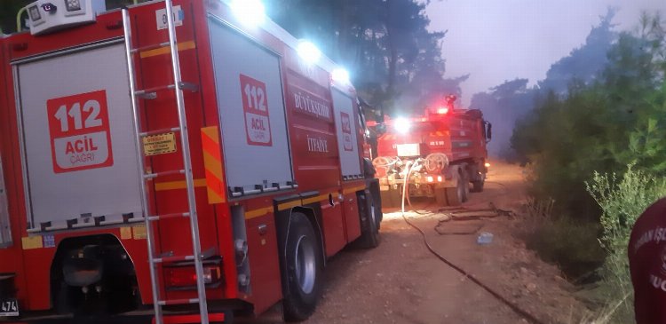 Muğla Ula'daki yangında 50 hektar ormanlık alan zarar gördü 1 Muğla Ula'daki yangında 50 hektar ormanlık alan zarar gördü 1