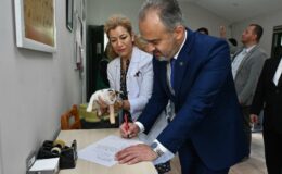 Bursa’da Başkan Aktaş, yavru kediyi sahiplendi