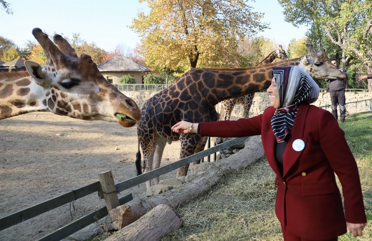 Bursa Hayvanat Bahçesi 24'üncü yaşını kutluyor 2