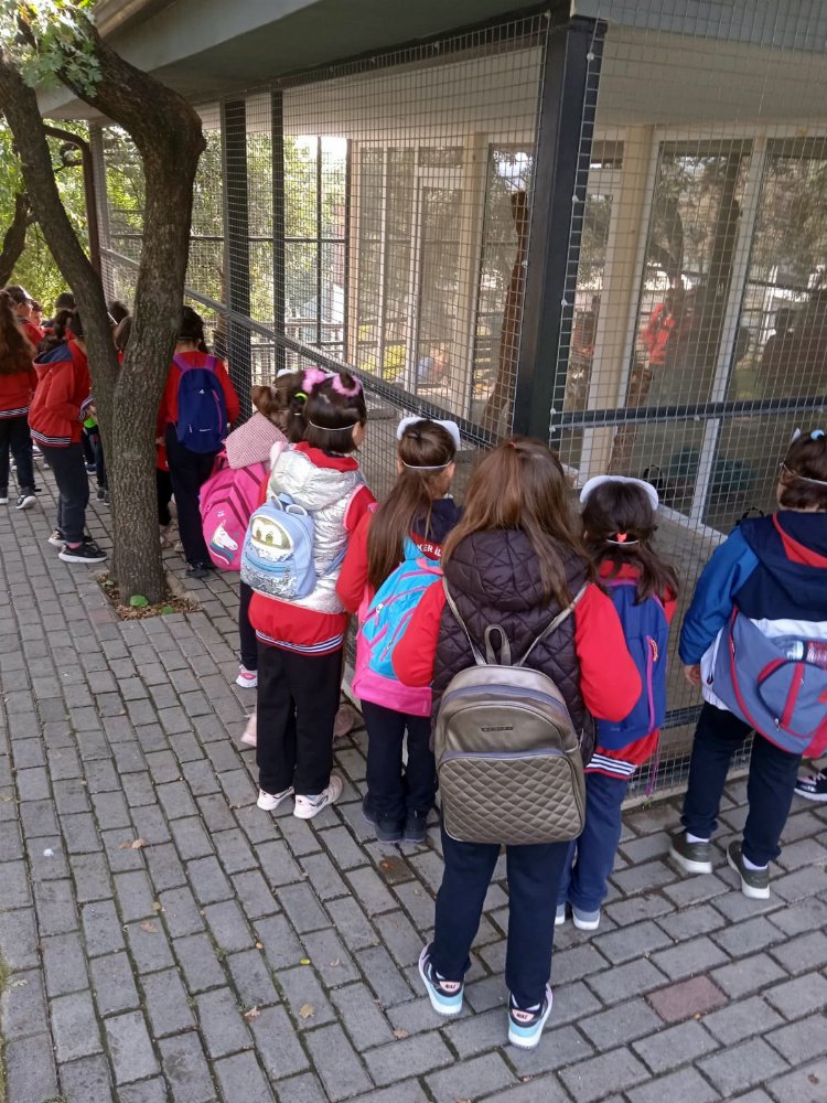 Bursa Osmangazi'de çocuklara hayvan sevgisi aşılanıyor 2