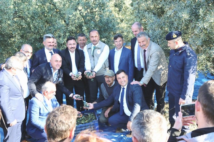 Bursa'da zeytin hasadı ve yağ üretimine start Mudanya'dan 1 Bursa'da zeytin hasadı ve yağ üretimine start Mudanya'dan 1