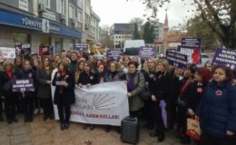 CHP’li kadınlar 25 Kasım için meydanlarda