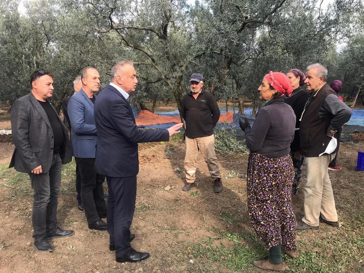 İYİ Partili Tatlıoğlu Bursa'da zeytin üreticilerine ses oldu 2