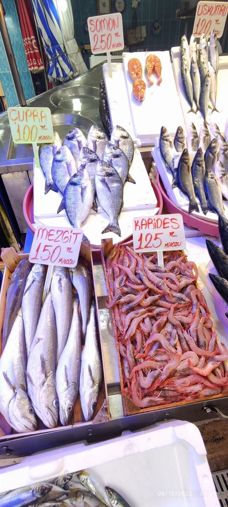 Bursa Mudanya'da balık tezgahlarında çeşitler arttı 2