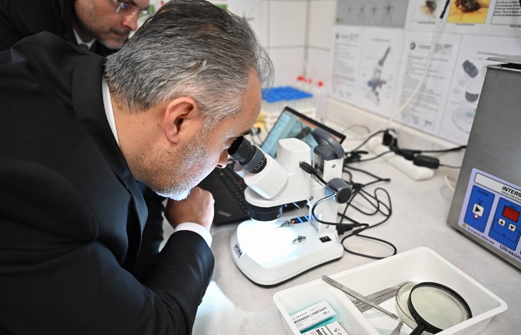 Bursa'nın sinekle mücadelesi laboratuvara taşındı 2