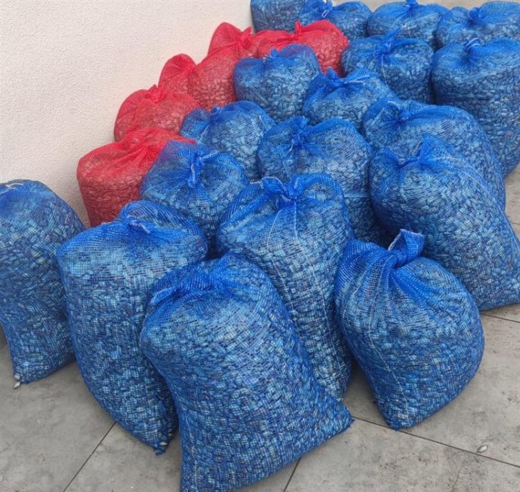 Karacabey sahilinde 40 çuval kaçak midye yakalandı! Denize geri bırakıldı 1