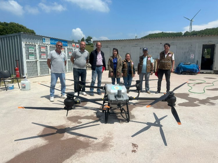 Manisa'da tarla çekirgelerine 'drone'lu mücadele 1