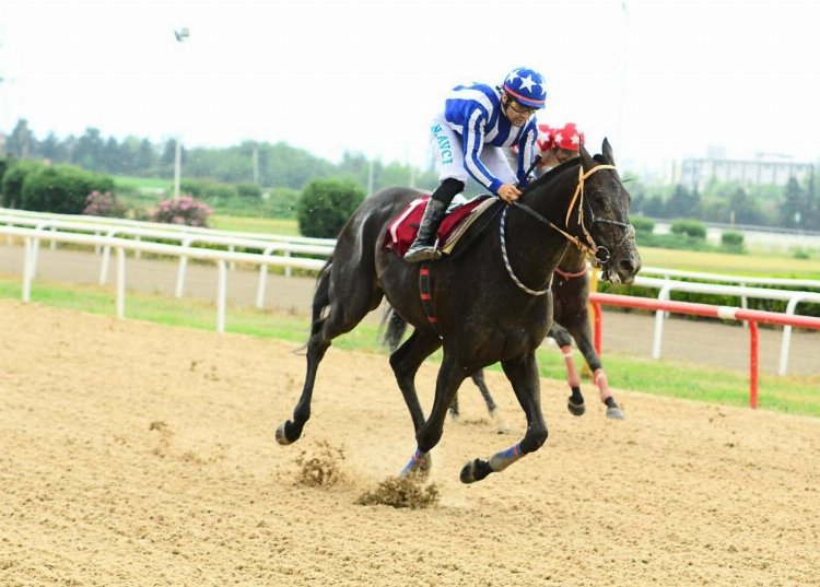 TSYD Bursa Koşusu’nun galibi Litecoin oldu 1 TSYD Bursa Koşusu’nun galibi Litecoin oldu 1