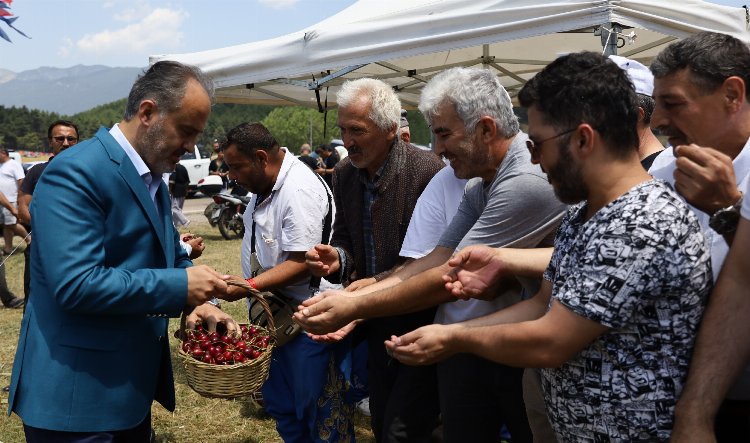 Bursa Keles Kirazı da coğrafi işarete kavuştu 2 Bursa Keles Kirazı da coğrafi işarete kavuştu 2